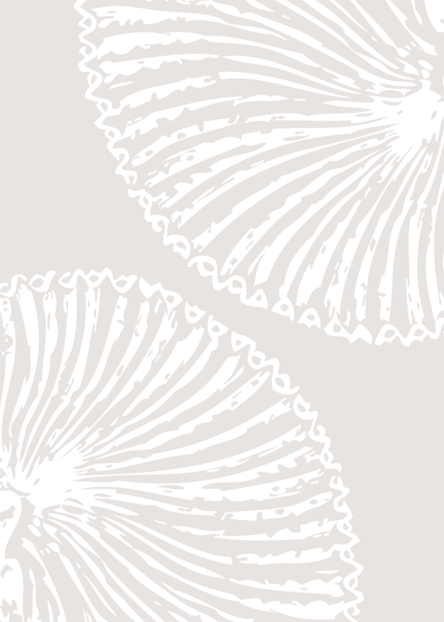 Minimalist Coastal Sea Urchin Shell Art Prints – Set of 3 Modern Botanical Ocean-Inspired Posters