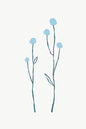 Minimalist Blue Wildflowers Botanical Line Art – Modern Digital Download