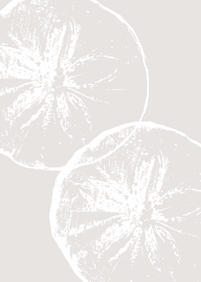 Minimalist Coastal Sea Urchin Shell Art Prints – Set of 3 Modern Botanical Ocean-Inspired Posters
