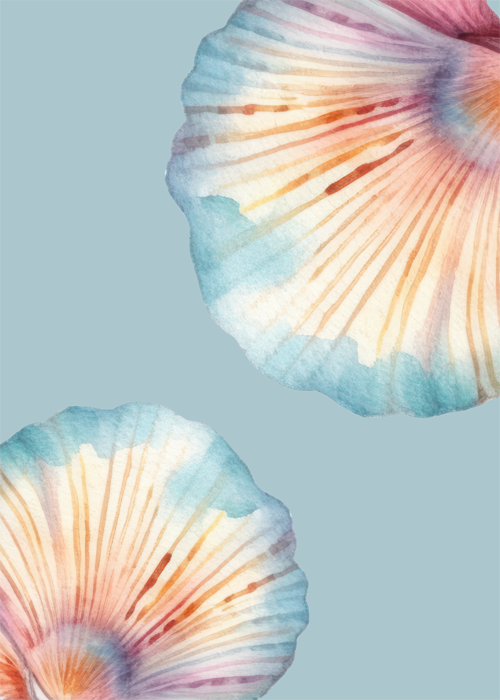 Watercolour Seashell Wall Art Poster | Coastal Beach Digital Print
