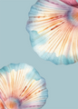 Watercolour Seashell Wall Art Poster | Coastal Beach Digital Print