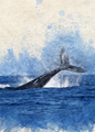 Whale Digital Art Poster | Ocean Splash Watercolour Wall Print
