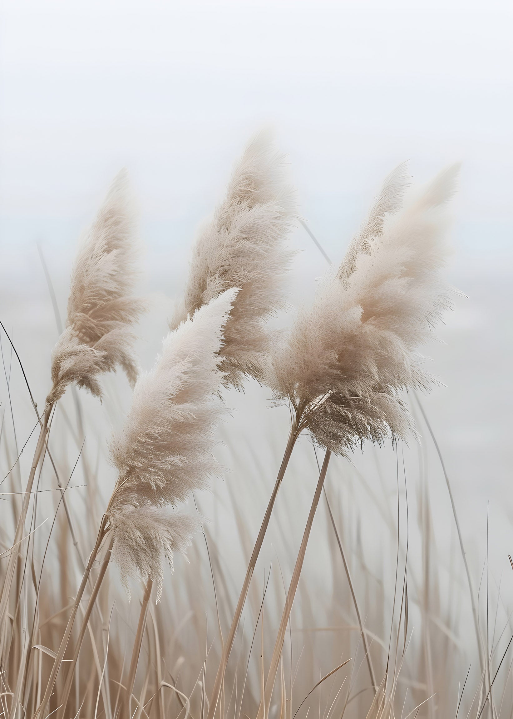 Neutral Pampas Grass Wall Art – Minimalist Nature Poster | Digital Download