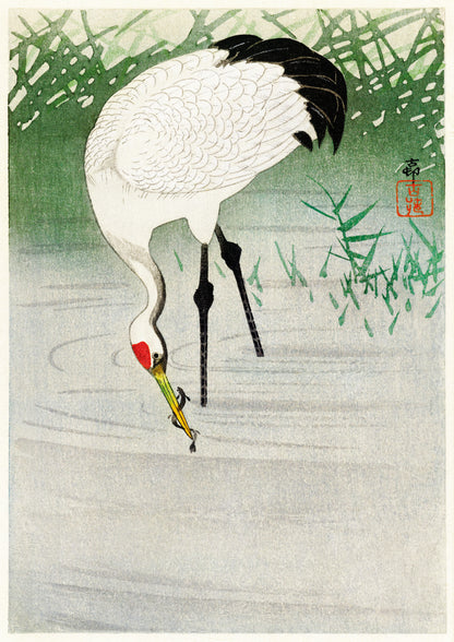 Fishing Crane in Shallow Water – Elegant Wildlife Bird Art for Nature Lovers