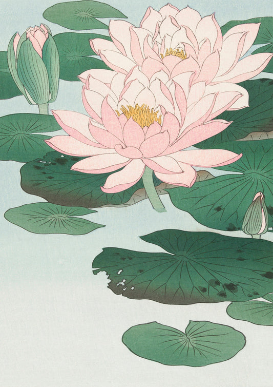Japanese Lotus Flower Digital Art Poster | Tranquil Water Lily Wall Print