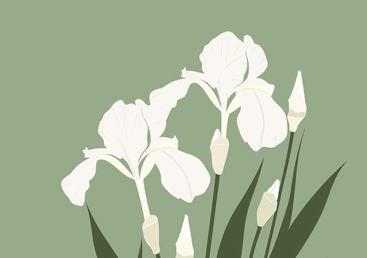 White Iris Flower Digital Art Poster – Minimal Botanical Print