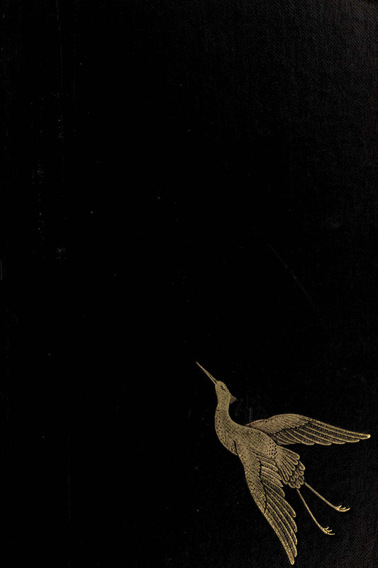 Elegant Golden Bird on Black Background - Minimalist Digital Art Poster