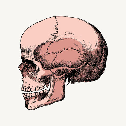Skull Poster – Bold & Edgy Wall Art for Modern Spaces Black