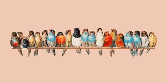 Colorful Birds on a Branch – Vintage-Style Digital Art Poster for Nature & Bird Lovers