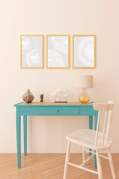 Minimalist Coastal Sea Urchin Shell Art Prints – Set of 3 Modern Botanical Ocean-Inspired Posters