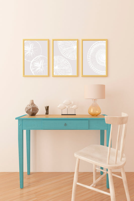 Minimalist Coastal Sea Urchin Shell Art Prints – Set of 3 Modern Botanical Ocean-Inspired Posters